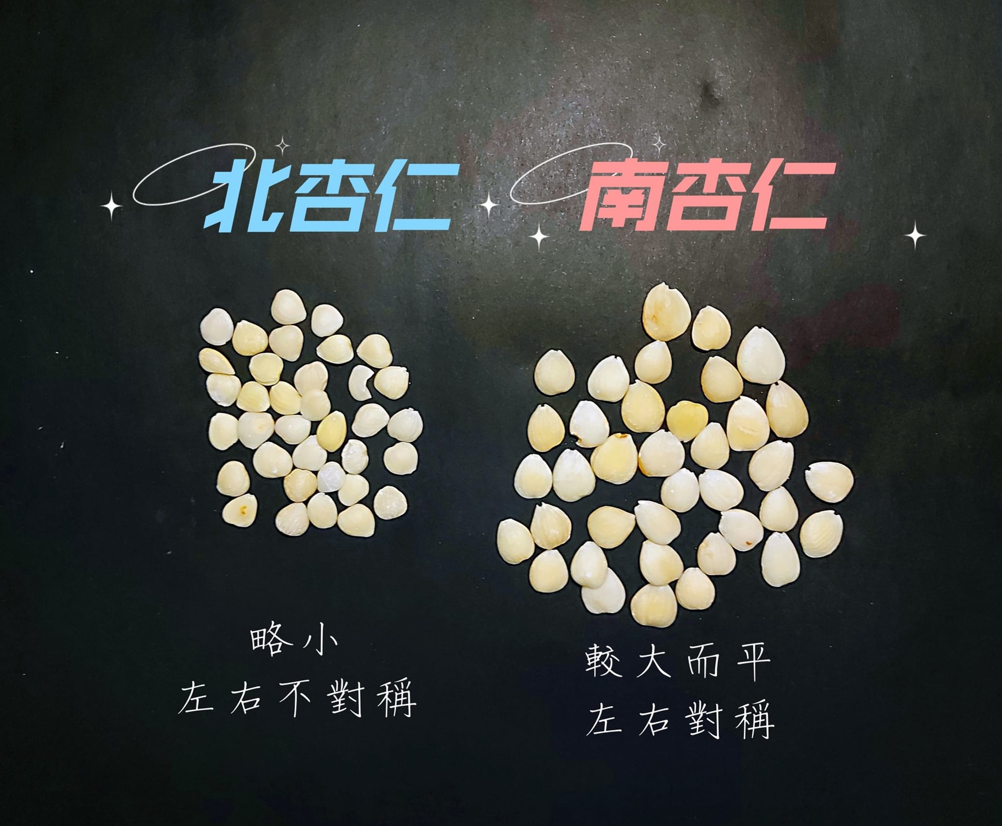 部落格 | 張宏銘中醫師鯨生情緣